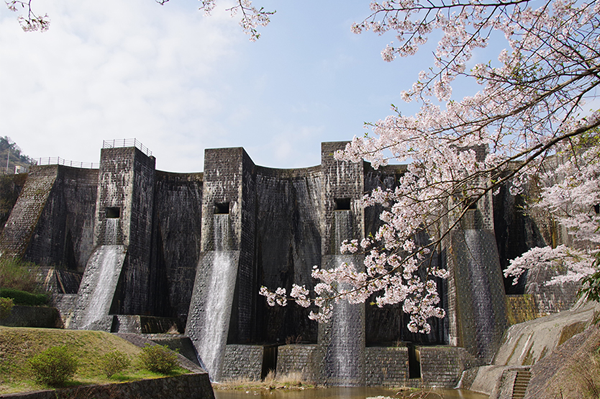 豊稔池堰堤