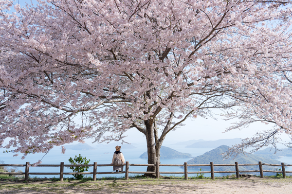 紫雲出山